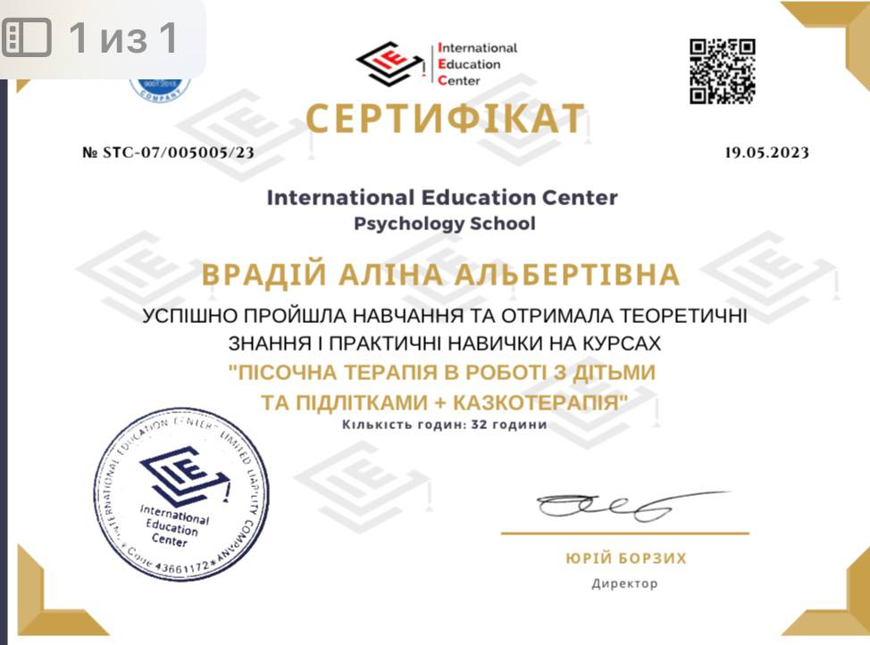 Сертификат Алины Врадий 10